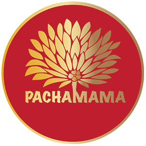 pachamamavisions.com